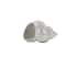 White Porcelain Coastal Seashell Sculpture Set